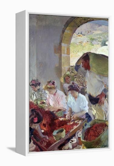 Preparing the Dry Grapes, 1890-Joaquín Sorolla y Bastida-Framed Premier Image Canvas