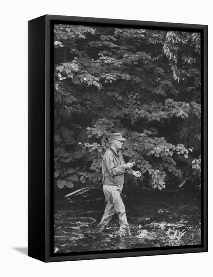 Pres. Dwight D. Eisenhower Fishing, During His New England Vacation-null-Framed Premier Image Canvas