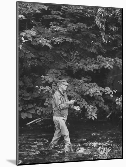 Pres. Dwight D. Eisenhower Fishing, During His New England Vacation-null-Mounted Photographic Print