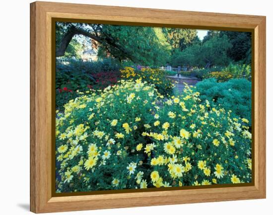 Prescott Park Garden, New Hampshire, USA-Jerry & Marcy Monkman-Framed Premier Image Canvas