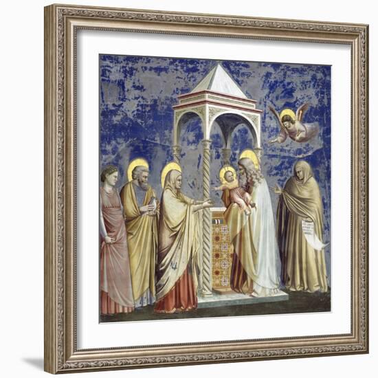 Presentation at the Temple-Giotto di Bondone-Framed Giclee Print