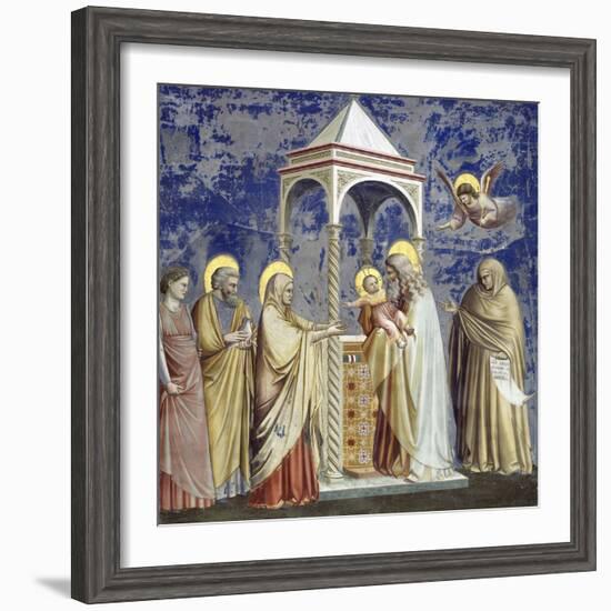 Presentation at the Temple-Giotto di Bondone-Framed Giclee Print