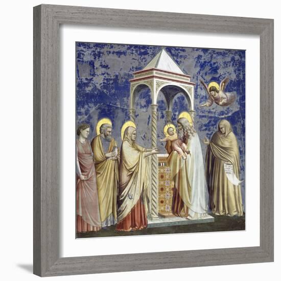 Presentation at the Temple-Giotto di Bondone-Framed Giclee Print