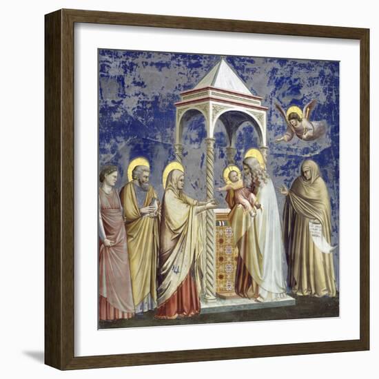 Presentation at the Temple-Giotto di Bondone-Framed Giclee Print