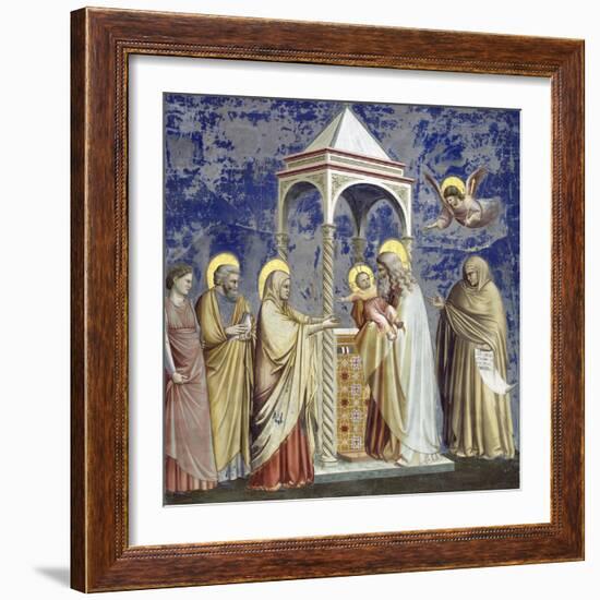 Presentation at the Temple-Giotto di Bondone-Framed Giclee Print