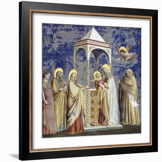 Presentation at the Temple-Giotto di Bondone-Framed Giclee Print