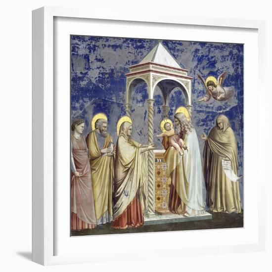 Presentation at the Temple-Giotto di Bondone-Framed Giclee Print