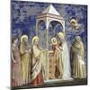 Presentation at the Temple-Giotto di Bondone-Mounted Giclee Print