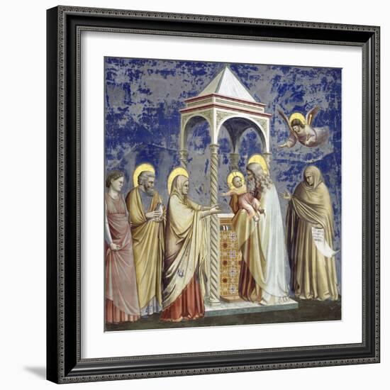 Presentation at the Temple-Giotto di Bondone-Framed Giclee Print