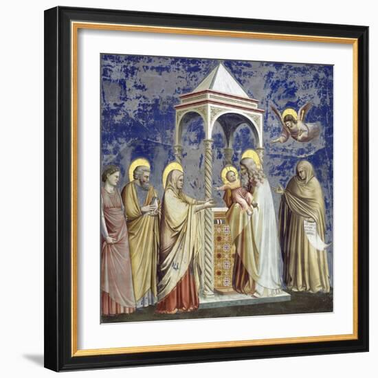 Presentation at the Temple-Giotto di Bondone-Framed Giclee Print