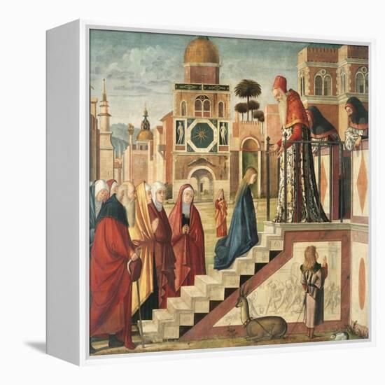 Presentation of Mary in the Temple-Vittore Carpaccio-Framed Premier Image Canvas