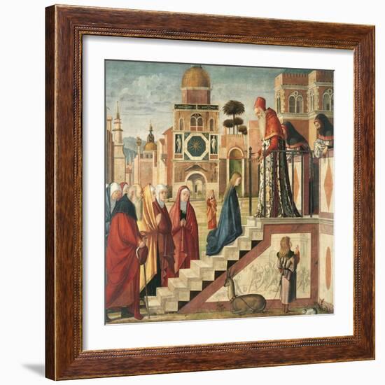 Presentation of Mary in the Temple-Vittore Carpaccio-Framed Giclee Print