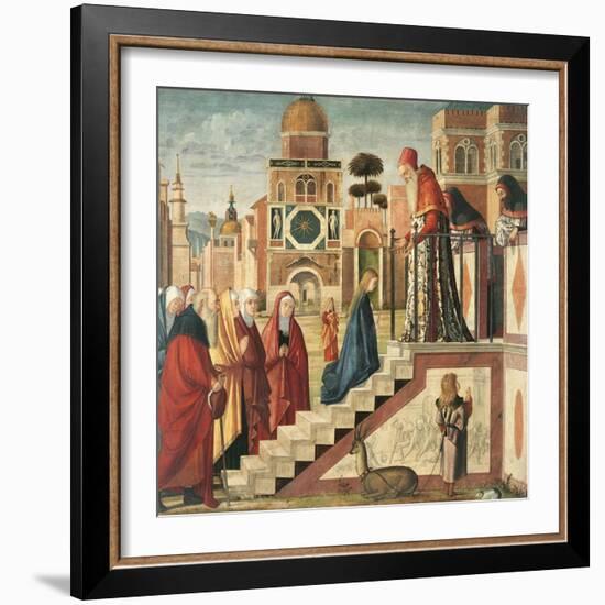 Presentation of Mary in the Temple-Vittore Carpaccio-Framed Giclee Print