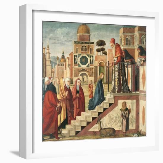 Presentation of Mary in the Temple-Vittore Carpaccio-Framed Giclee Print