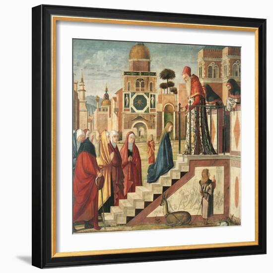 Presentation of Mary in the Temple-Vittore Carpaccio-Framed Giclee Print