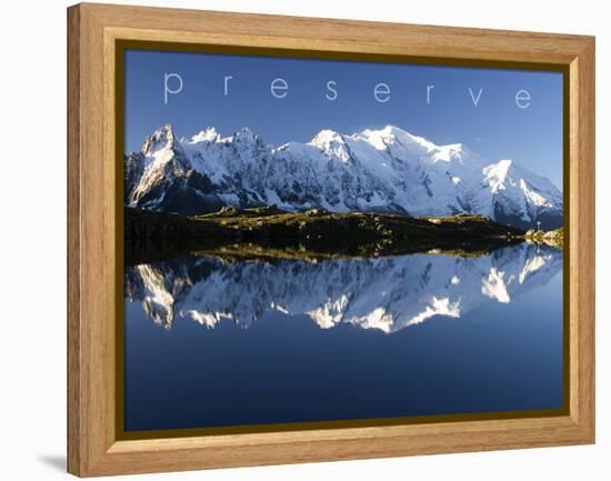 Preserve-null-Framed Stretched Canvas