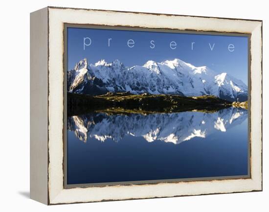 Preserve-null-Framed Stretched Canvas