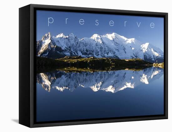 Preserve-null-Framed Stretched Canvas