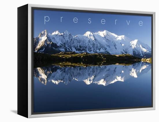 Preserve-null-Framed Stretched Canvas