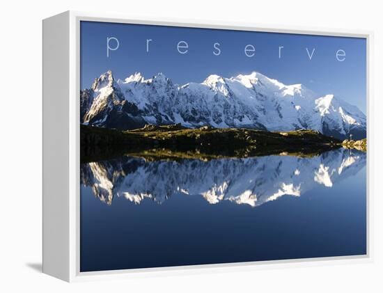 Preserve-null-Framed Stretched Canvas