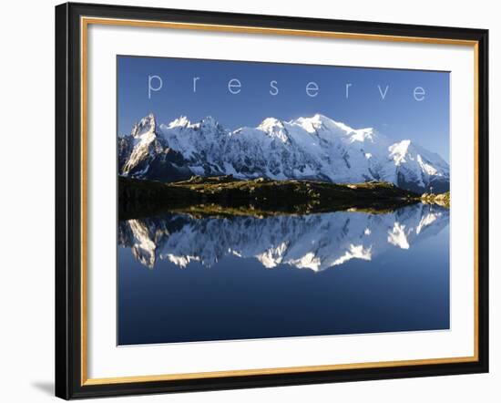 Preserve-null-Framed Photo