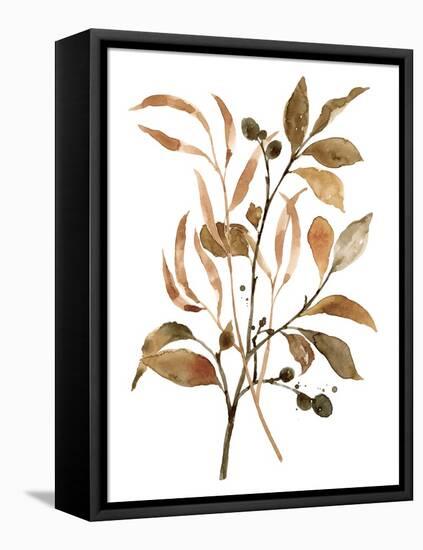 Preserved Autumn Leaves I-Victoria Barnes-Framed Stretched Canvas