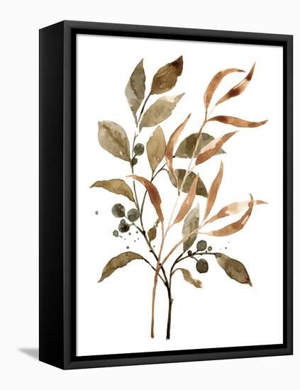 Preserved Autumn Leaves II-Victoria Barnes-Framed Stretched Canvas