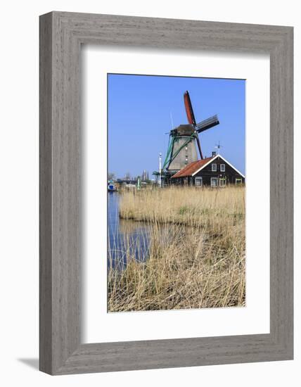 Preserved Historic Windmills and Houses in Zaanse Schans-Amanda Hall-Framed Photographic Print