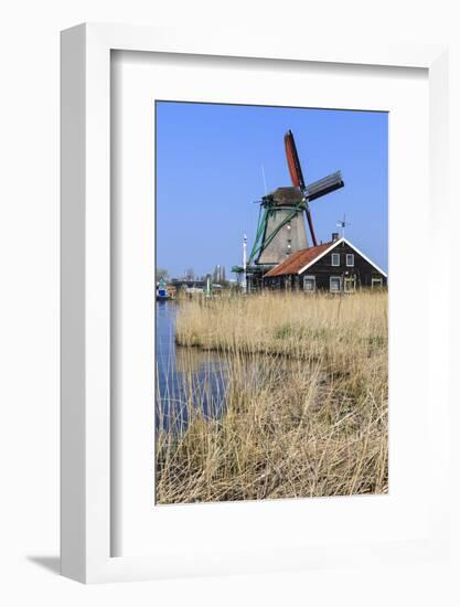 Preserved Historic Windmills and Houses in Zaanse Schans-Amanda Hall-Framed Photographic Print