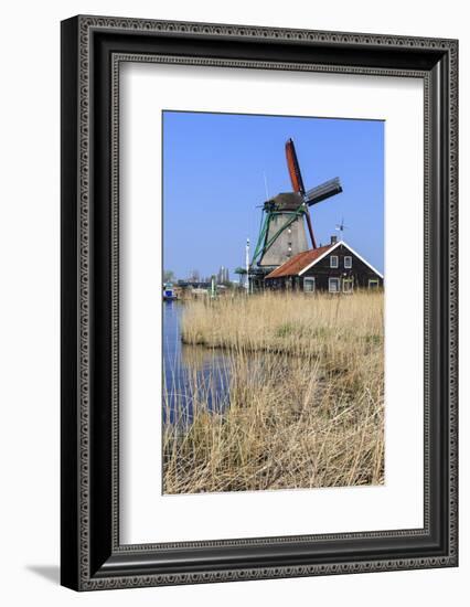 Preserved Historic Windmills and Houses in Zaanse Schans-Amanda Hall-Framed Photographic Print