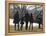 President Barack Obama anf Family Walk on the South Lawn of the White House in Washington-null-Framed Premier Image Canvas