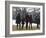 President Barack Obama anf Family Walk on the South Lawn of the White House in Washington-null-Framed Photographic Print