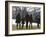 President Barack Obama anf Family Walk on the South Lawn of the White House in Washington-null-Framed Photographic Print