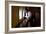 President Barack Obama Looks Out at the Australian Landscape from Air Force One, Nov. 17, 2011-null-Framed Premium Photographic Print