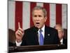 President Bush Delivers His Fifth State of the Union Speech-null-Mounted Photographic Print