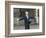 President Bush Departs in the Rain at Boeing Field in Seattle-null-Framed Photographic Print