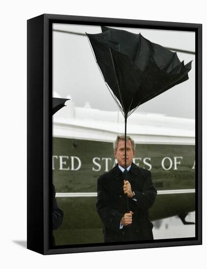 President Bush Jokingly Holds His Wind-Blown Umbrella Upright-null-Framed Premier Image Canvas