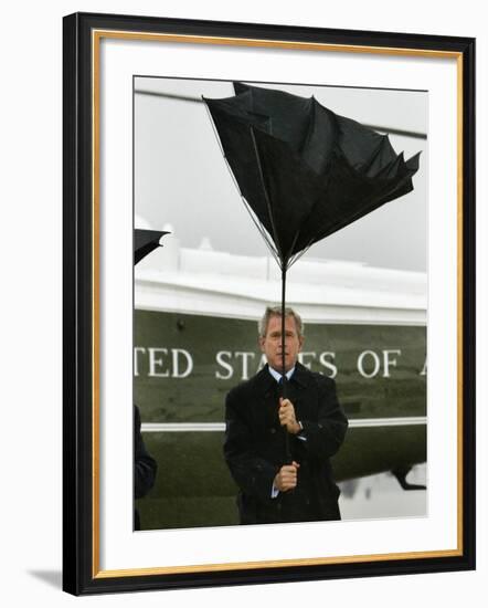President Bush Jokingly Holds His Wind-Blown Umbrella Upright-null-Framed Photographic Print