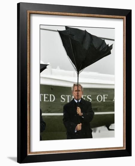 President Bush Jokingly Holds His Wind-Blown Umbrella Upright-null-Framed Photographic Print