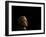 President Bush Listens to Statements-null-Framed Photographic Print