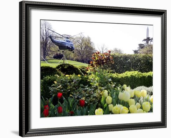 President Bush's Helicopter Leaves the White House-null-Framed Photographic Print