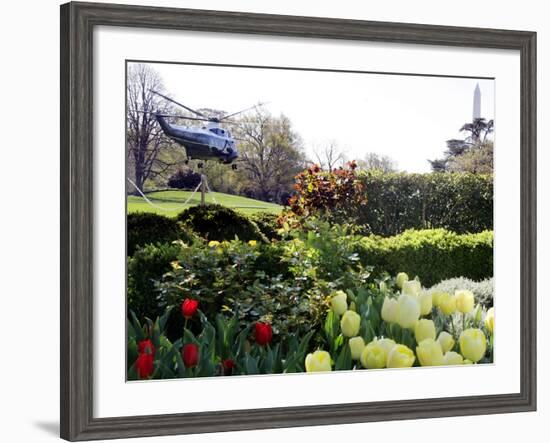 President Bush's Helicopter Leaves the White House-null-Framed Photographic Print