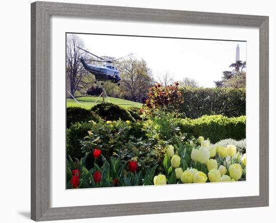 President Bush's Helicopter Leaves the White House-null-Framed Photographic Print