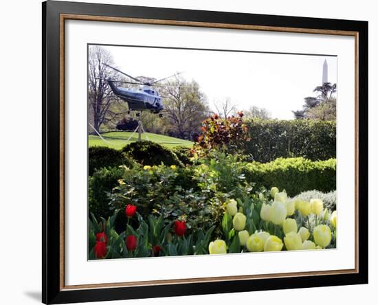 President Bush's Helicopter Leaves the White House--Framed Photographic Print