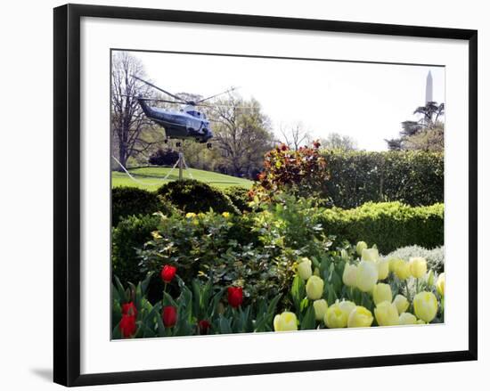 President Bush's Helicopter Leaves the White House-null-Framed Photographic Print