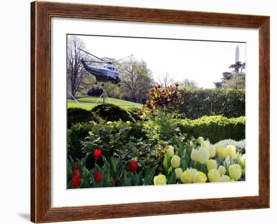 President Bush's Helicopter Leaves the White House-null-Framed Photographic Print