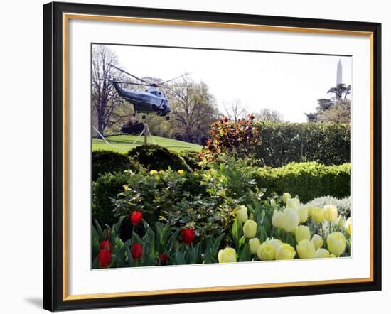 President Bush's Helicopter Leaves the White House--Framed Photographic Print