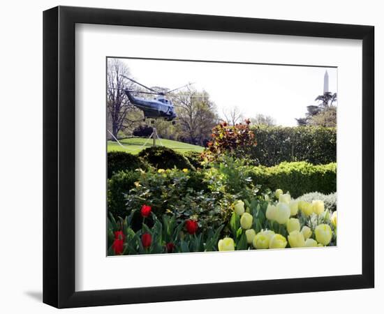 President Bush's Helicopter Leaves the White House-null-Framed Photographic Print