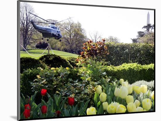 President Bush's Helicopter Leaves the White House-null-Mounted Photographic Print