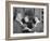 President Eisenhower with Helen Keller and Her Aide Polly Thompson-null-Framed Photo